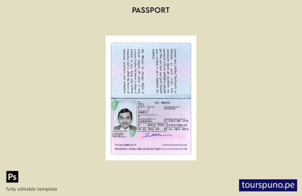 Plantilla de versión de pasaporte de Irlanda lista para imprimir